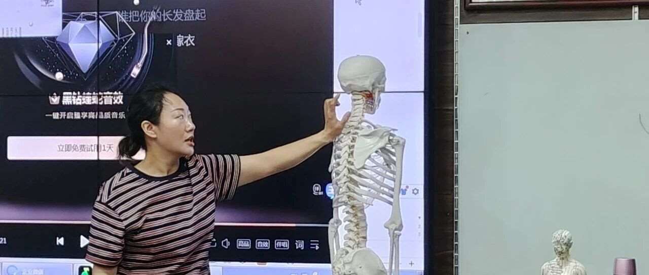润贤中医 &times; 广州三甲跟诊：主任 / 副主任亲带，聚焦 10 + 高发病症，零基础也能学对症调理