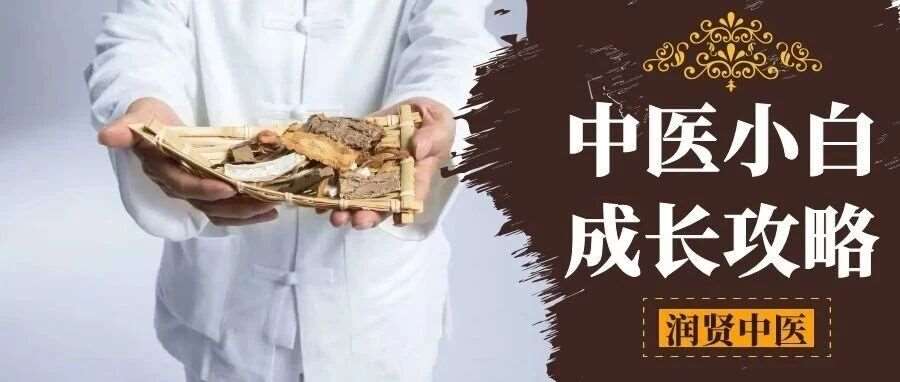 润贤中医学堂｜中医小白入门成长攻略