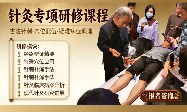 润贤中医针灸课程