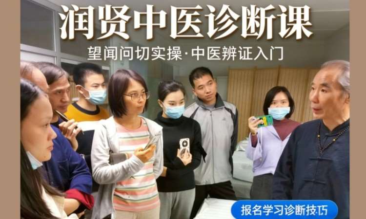 润贤中医辨证诊断课程